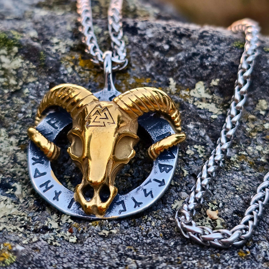 Halsband Tanngrisnir - Tvåfärgad